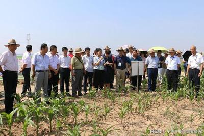 全國(guó)農(nóng)技推廣效能提升暨星級(jí)服務(wù)創(chuàng)建工作在蒲城縣舉辦