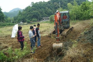 順昌縣農業局水產技術推廣站深入仁壽鎮余塘村指導田間工程改造，助推稻田養魚項目發展