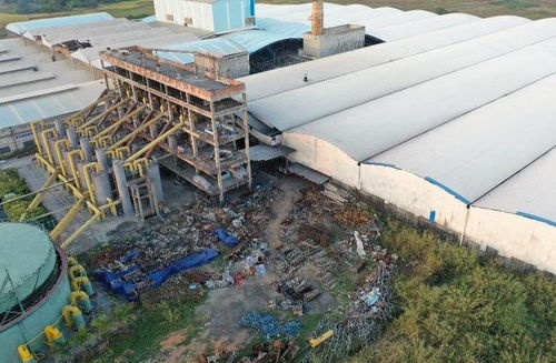 桂平市蒙圩鎮農作物減產 陶瓷廠污染與農業技術推廣的挑戰