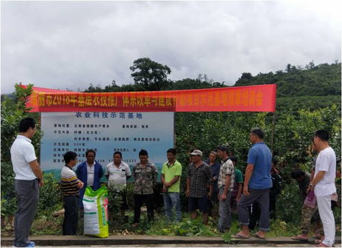 瑞麗市召開2018年農技推廣補助項目基地物資發放暨現場觀摩培訓會