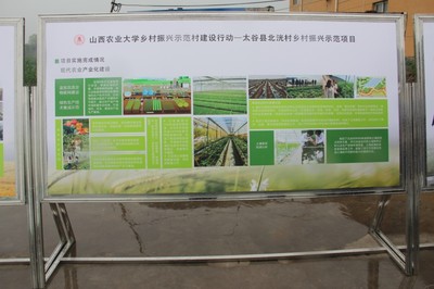 園藝學(xué)院春菜品種展示交流會 科技賦能農(nóng)業(yè)，創(chuàng)新引領(lǐng)未來